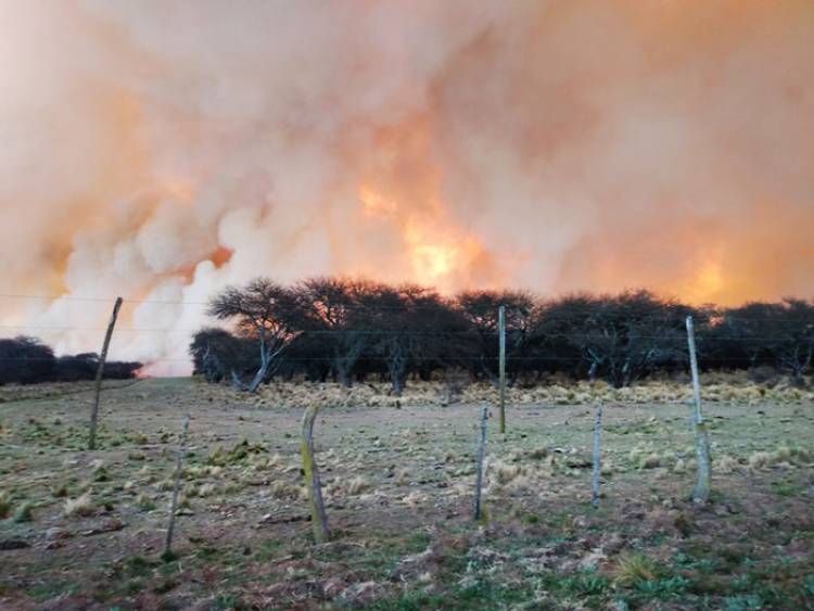 DESCONTROLADO INCENDIO FORESTAL EN LA PAMPA