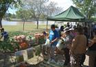 FERIA DE PEQUEÑOS Y MEDIANOS PRODUCTORES EN VILLA MERCEDES