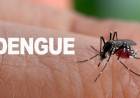 YA SON 77 CASOS DE DENGUE EN SALTA