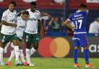 TIGRE NO PUDO HACER NADA Y CAYÓ COMO LOCAL ANTE PALMEIRAS POR LA COPA LIBERTADORES