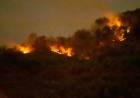 TUCUMÁN: INCENDIO FORESTAL EN EL CERRO SAN JAVIER ¿CUÁL ES LA SITUACIÓNES ACTUAL? 