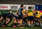 ARGENTINA XV DERROTÓ A BRASIL EN LA SEGUNDA PRESENTACIÓN DEL TORNEO SUDAMERICANO 4 NACIONES DE RUGBY