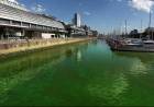 PUERTO MADERO AMANECIÓ DE VERDE
