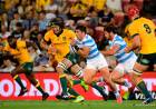 VALIOSO EMPATE DE LOS PUMAS ANTE AUSTRALIA POR EL TRES NACIONES DE RUGBY