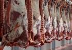 SE OFICIALIZÓ LA CREACIÓN DE UN REGISTRO PARA EXPORTADORES DE CARNES Y NO SOLAMENTE LA VACUNA