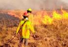 LA EMERGENCIA POR EL FUEGO EN CORRIENTES: YA SON 14 LAS PROVINCIAS QUE AYUDAN Y BOLIVIA ENVIÓ A BRIGADISTAS
