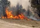 CRISIS CLIMÁTICA: JUJUY DECLARÓ LA EMERGENCIA ÍGNEA Y TRIPLICÓ LAS MULTAS POR CAUSAR INCENDIOS