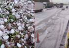 VOLADURA DE TECHOS Y CAÍDA DE RAMAS EN UN TEMPORAL DE GRANIZO Y VIENTO OCASIONÓ DESTROZOS EN LOCALIDAD CORDOBESA