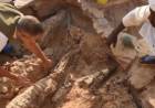 LAS MOMIAS DE DIEZ COCODRILOS QUE LLEVAN MÁS DE 2.300 AÑOS ENTERRADOS FUERON DESCUBIERTAS