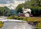 EL TREN DEL FIN DEL MUNDO Y UN VIAJE MÁGICO HACIA LOS BOSQUES DEL SUR