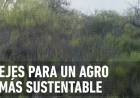 BIODIVERSIDAD: EJES PARA UN AGRO MÁS SUSTENTABLE 