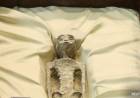 ¿ALIENS EN MÉXICO? PRESENTARON CUERPOS NO HUMANOS DE HACE 1000 AÑOS EN EL CONGRESO MEXICANO