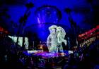 UN CIRCO UTILIZA HOLOGRAMAS EN LUGAR DE ANIMALES