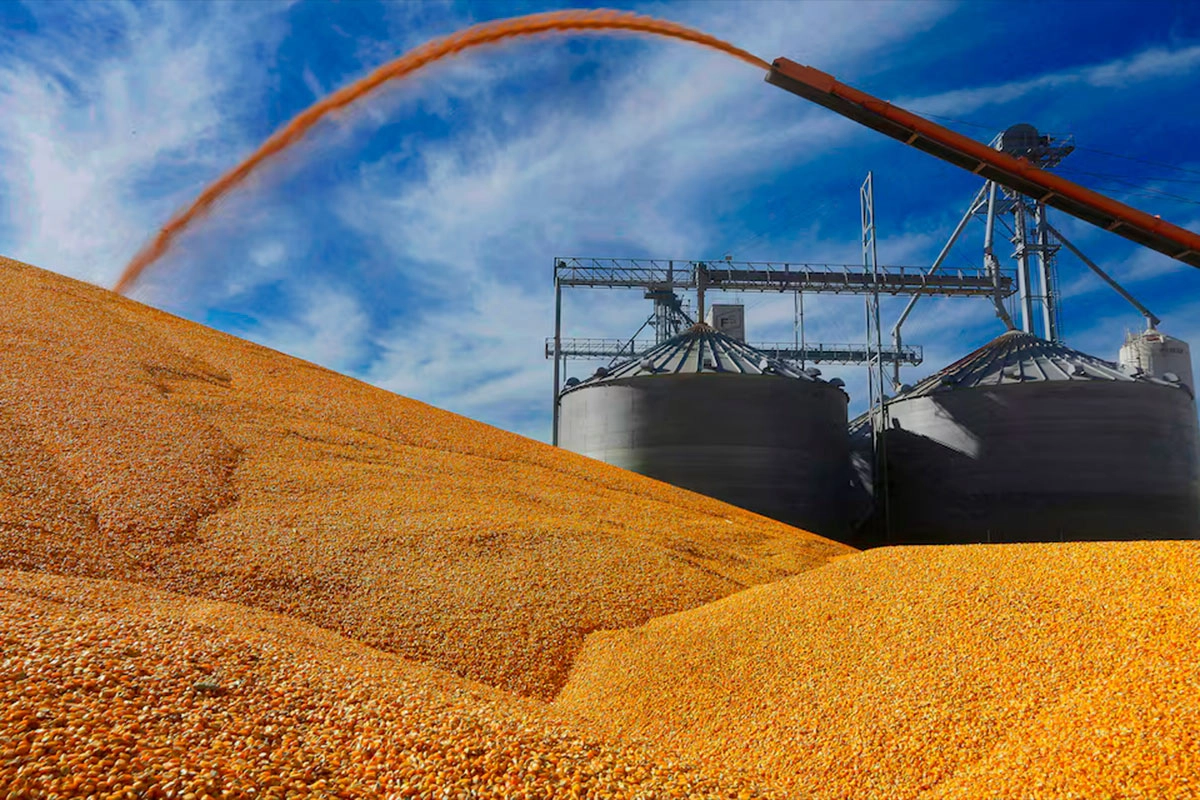 GOBIERNO OFICIALIZÓ LA BAJA DE RETENCIONES A LA SOJA, CARNE Y CEREALES