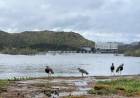 Clima en San Luis: lunes con lluvias, tormentas y hasta 60 km/h