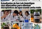 Estudiantes de San Luis investigan cómo retener microplásticos con yerba mate