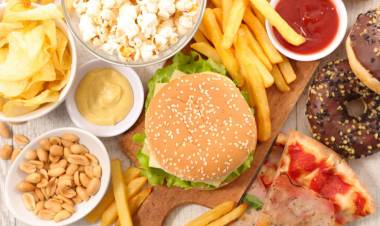 COMIDA RÁPIDA: ¿UNA ALTERNATIVA A LA ALIMENTACIÓN CONVENCIONAL?