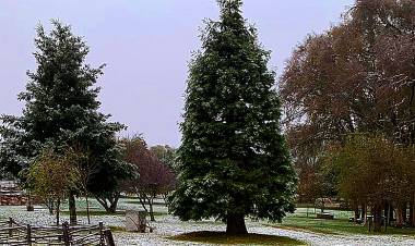 NEVÓ EN SAN LUIS POR PRIMERA VEZ EN EL AÑO