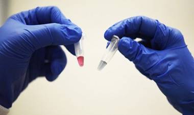 REEMPLAZO DEL SISTEMA IN VITRO: CIENTÍFICOS DE ISRAEL, ASEGURAN HABER REALIZADO UN MODELO DE ÚTERO RECEPTIVO