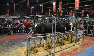 PALERMO: LA MAGIA DEL TAMBO Y DE UNA GRANJA INTERACTIVA, ATRACCIONES DEL PRIMER DOMINGO EN LA RURAL