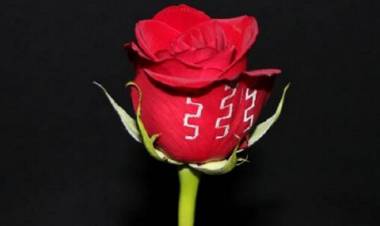 SE OBTUVIERON LOS PRIMEROS CIRCUITOS ELECTRÓNICOS IMPRESOS EN FLORES