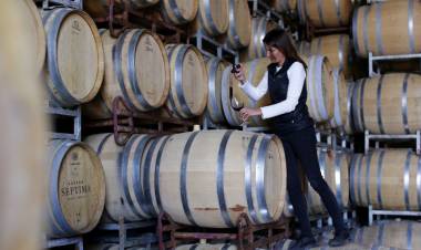 PROMOCIONAN EL VINO ARGENTINO EN BRASIL