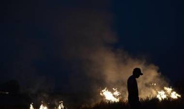 AMAZONAS: EL PAPA FRANCISCO PIDIÓ “SALVAR EL PULMÓN DEL PLANETA”