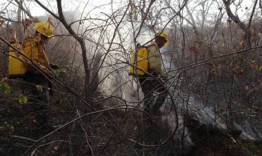 ENVÍAN A 200 BRIGADISTAS ARGENTINOS A COMBATIR LOS INCENDIOS EN BOLIVIA