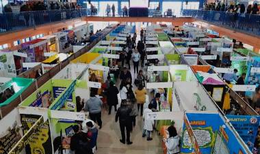 EDUCACIÓN: ANUNCIARON LOS PROYECTOS QUE REPRESENTARÁN A SAN LUIS EN LA INSTANCIA NACIONAL DE LA FERIA DE CIENCIAS 2019