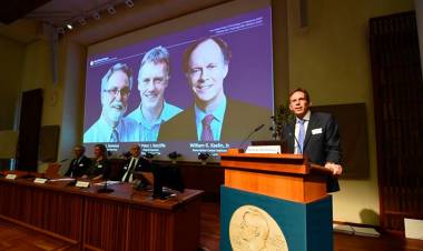 LUCHA CONTRA LA ANEMIA Y EL CÁNCER: TRES INVESTIGADORES GANARON EL NOBEL DE MEDICINA