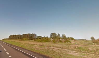 SEGÚN UN INFORME PRIVADO, LA ACTIVIDAD INMOBILIARIA RURAL REGISTRÓ EN OCTUBRE EL PEOR NIVEL DEL AÑO