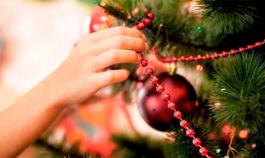 TRADICIÓN: ¿POR QUÉ EL ARBOLITO DE NAVIDAD SE ARMA EL 8 DE DICIEMBRE?