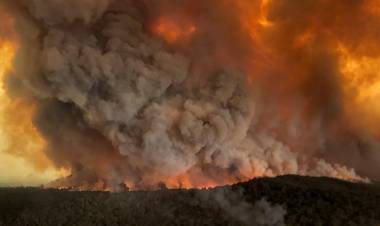EN AUSTRALIA MURIERON MÁS DE MIL MILLONES DE ANIMALES POR LOS INCENDIOS