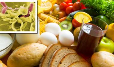 BROTE DE SALMONELLA EN SALTA 