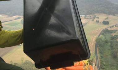 AUSTRALIA: LANZAN MÁS DE 2 TONELADAS DE HORTALIZAS PARA ALIMENTAR A LOS ANIMALES  SOBREVIVIENTES DE LOS INCENDIOS 