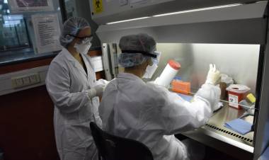 CORONAVIRUS: EL MALBRÁN COMENZÓ EL PROCESO DE DESCENTRALIZACIÓN DEL TEST Y LA CAPACITACIÓN SE HARÁ EN FORMA VIRTUAL