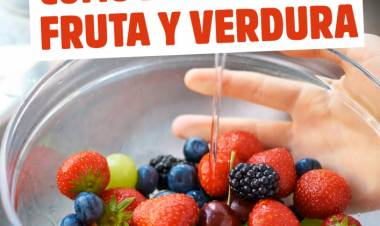 HIGIENE Y SEGURIDAD DE LA COCINA Y LOS ALIMENTOS