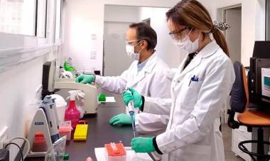 CORONAVIRUS EN ARGENTINA: CIENTÍFICOS DEL CONICET TRABAJAN EN "KIT" QUE DETECTARÍA EL VIRUS EN UNA HORA