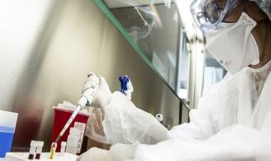 HAY 90  NUEVOS CASOS Y 142 MUERTOS SEGÚN INFORMÓ EL MINISTERIO DE SALUD DE LA NACIÓN