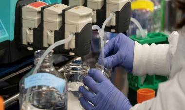 DOS CIENTÍFICOS SALTEÑOS FUERON ELEGIDOS PARA INVESTIGAR SOBRE EL COVID-19