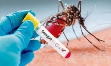 SALTA REGISTRA MÁS DE 5000 PACIENTES CON DENGUE