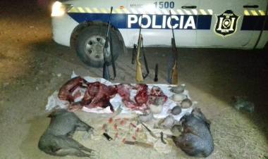 EN SALTA INFRACCIONARON A CAZADORES FURTIVOS Y SECUESTRARON SUS ARMAS