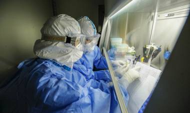 MÁS DE 50.000 INFECTADOS DE CORONAVIRUS EN ARGENTINA DESDE QUE COMENZÓ LA PANDEMIA