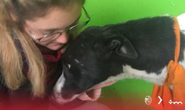 EN VILLA MERCEDES FUERON ATENDIDOS 39 ANIMALES EN EL HOSPITAL DEL REFUGIO EN LOS ÚLTIMOS 15 DÍAS