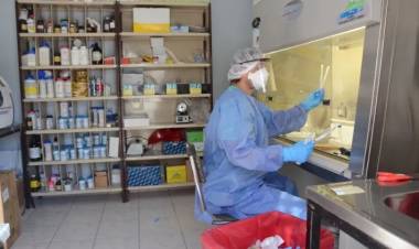 ARGENTINA YA ACUMULA MÁS DE 1.500 MUERTOS Y MÁS DE 75.000 CASOS POSITIVOS DE CORONAVIRUS