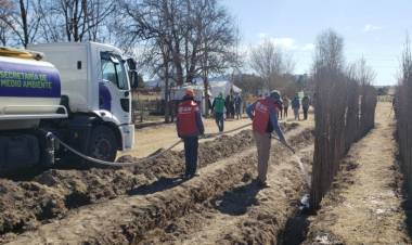EL GOBIERNO DE SAN LUIS PUSO EN MARCHA EL PLAN FORESTAL “MÁS ÁRBOLES, MÁS VIDA”
