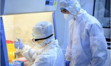 TUCUMÁN: SON 31 LOS MUERTOS DESDE QUE COMENZÓ LA PANDEMIA