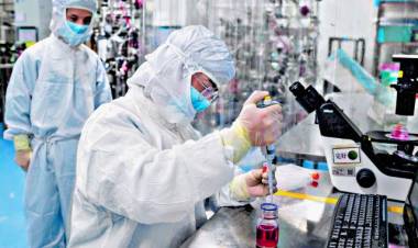 VACUNA CONTRA EL CORONAVIRUS DE LA UNIVERSIDAD DE OXFORD: SUSPENDEN LAS PRUEBAS POR POSIBLES EFECTOS ADVERSOS