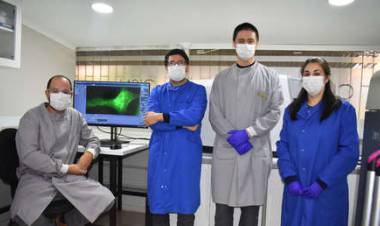 CIENTIFICOS CHILENOS DESCUBRIERON UN "SUPERANTICUERPO" CAPAZ DE NEUTRALIZAR EL CORONAVIRUS