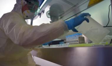 ESTE LUNES EN LA PROVINCIA DE SAN LUIS SE CONFIRMARON 39 CASOS POSITIVOS DE COVID-19